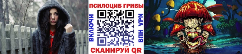Псилоцибиновые грибы Magic Shrooms  площадка телеграм  Кропоткин  магазин  наркотиков 
