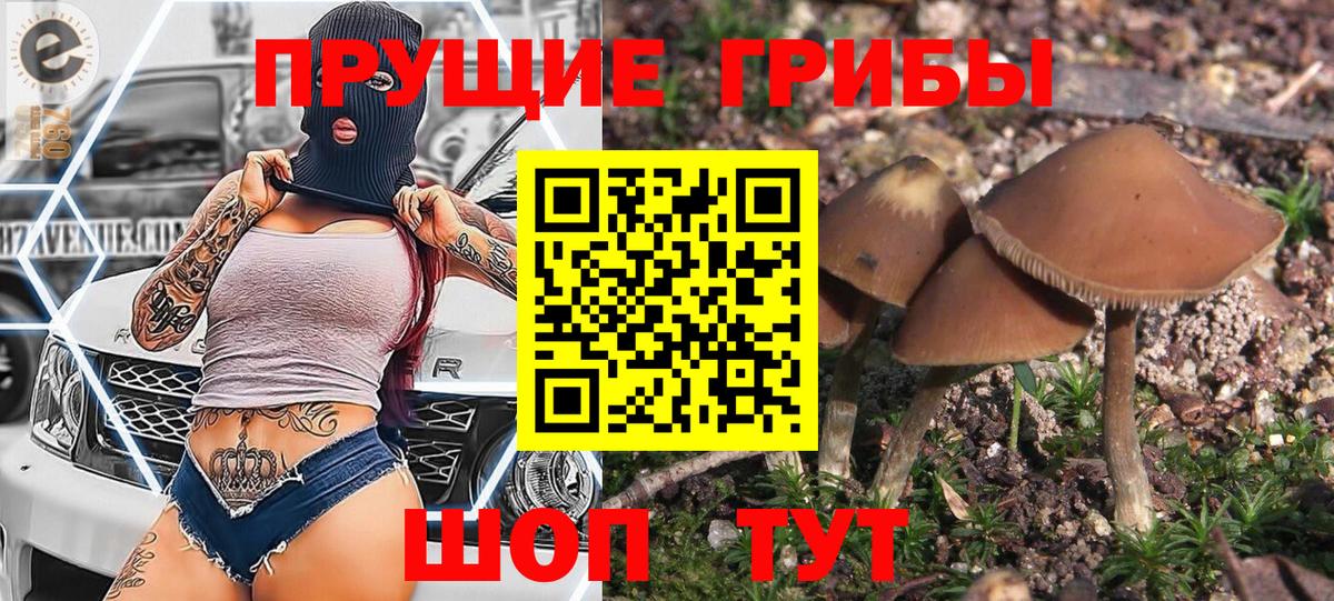 Кропоткин  Псилоцибиновые грибы Cubensis  даркнет сайт  Вход с VPN 