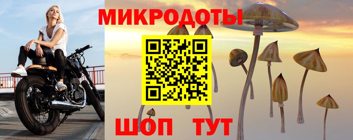 A PVP Кропоткин